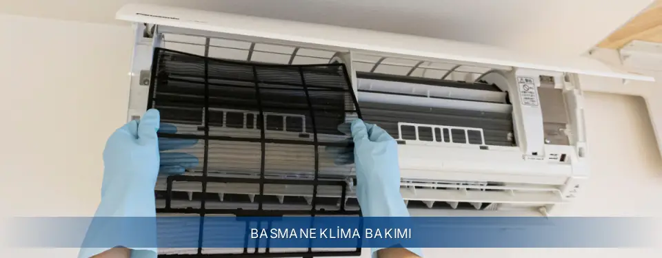 Basmane İlçemi Electrolux Klima Bakımı